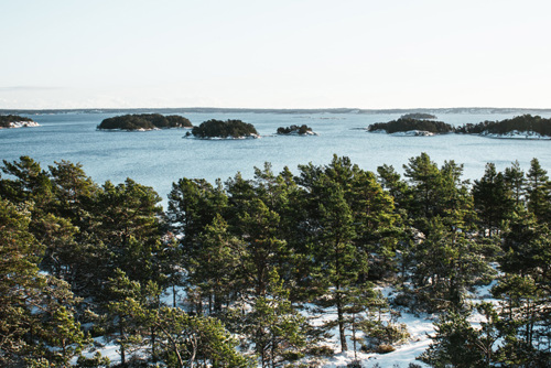 Månadsrapport februari 2026